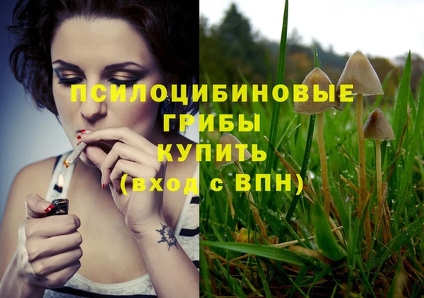 spice Балабаново