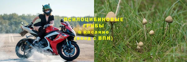 spice Балабаново